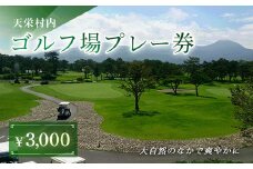 天栄村内ゴルフ場プレー券（3,000円分） F21T-032
