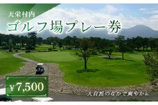 天栄村内ゴルフ場プレー券（7,500円分） F21T-035