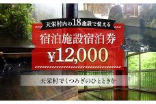天栄村内宿泊施設宿泊券 12,000円分 温泉 旅行 福島県 天栄村 ふるさと納税 F21T-039