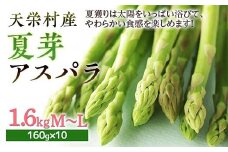 【先行予約】 ≪天栄村産≫ 夏芽アスパラM～Lサイズ 1.6kg F21T-071