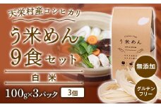 天栄村産コシヒカリ白米 う米めん 9食セット 無添加 グルテンフリー F21T-075