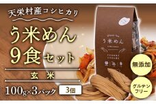 天栄村産コシヒカリ玄米 う米めん 9食セット 無添加 グルテンフリー F21T-074