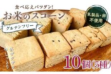 グルテンフリー お米のスコーン 10個セット 低糖質 糖質オフ ヘルシー 米粉 焼き菓子 洋菓子 デザート スイーツ F21T-373