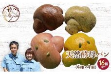 国産小麦使用 いろどり自家製天然酵母パン16個セット F21T-140