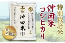 令和6年産米 特別栽培米 沖田米コシヒカリ 2kg F21T-072