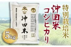令和6年産米 特別栽培米 沖田米コシヒカリ 5kg F21T-073