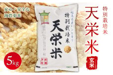 令和4年産米 特別栽培米『天栄米』玄米5kg F21T-119