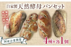 国産小麦使用 自家製天然酵母パンセット F21T-141