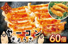 天栄村特産を使ったヤーコン餃子 60個 F21T-181
