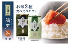 <先行予約>「満天」食べ比べギフト各2kg（ゆうだい21・特別栽培米 コシヒカリ） 白米 精米 米 コメ 天栄米 天栄村 ギフト 贈答 プレゼント F21T-261