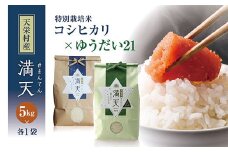 <先行予約>「満天」食べ比べセット各5kg（ゆうだい21・特別栽培米 コシヒカリ） 白米 精米 米 コメ 天栄米 天栄村 F21T-264