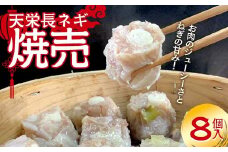 天栄長ネギ 焼売 8個入り F21T-324