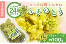 収穫から24時間以内に発送！ほろ苦い春の味わい「ふきのとう」Lサイズ1パック100g（約8個） F21T-347