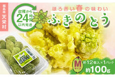 収穫から24時間以内に発送！ほろ苦い春の味わい「ふきのとう」Mサイズ1パック100g（約12個） F21T-349