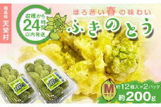 収穫から24時間以内に発送！ほろ苦い春の味わい「ふきのとう」Mサイズ200g（約24個） F21T-350