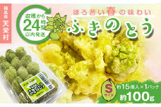 収穫から24時間以内に発送！ほろ苦い春の味わい「ふきのとう」Sサイズ1パック100g（約15個） F21T-351