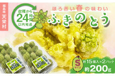 収穫から24時間以内に発送！ほろ苦い春の味わい「ふきのとう」Sサイズ200g（約30個） F21T-352