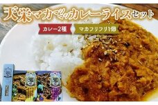 天栄マカマシマシカレーセット！　カレー2種（チキン・ラム）とマカフリフリ 米 コメ ご飯 ブランド 天栄産 福島県 天栄村 F21T-388