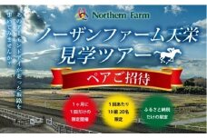 月1回限定開催 ノーザンファーム天栄見学ツアーペア招待（2026年2月分）※記念品無しプラン UMAJO 期間限定 東北 福島県 天栄村 競馬 ノーザン 応援 思い出 記念 F21T-389