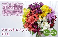 「花の福袋」“贅沢な日常花” アルストロメリア 切り花 60cm 30本 花束 フラワー ご褒美 お祝い ギフト 誕生日 感謝 母の日 父の日 プレゼント 福島県 天栄村 F21T-399