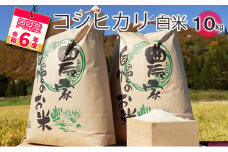 【中野米店】令和6年　只見産　コシヒカリ　白米　10kg[№5633-0183]