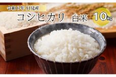 【伊南川農園】令和6年　只見産　コシヒカリ　白米　10kg[№5633-0186]