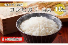【伊南川農園】令和6年　只見産　コシヒカリ　白米　10kg　2ヵ月連続発送（合計20kg）[№5633-0187]