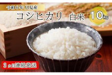 【伊南川農園】令和6年　只見産　コシヒカリ　白米　10kg　3ヵ月連続発送（合計30kg）[№5633-0188]