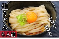 本格 生うどん 2人前×3個 太麺 もちもち つるつる こだわり製法 生麺 熟成 多加水麺 [№5633-0287]