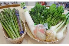 【館長おまかせ！】 南会津町 季節の野菜詰合せ [№5883-0024]