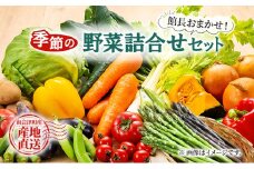 【館長おまかせ！】 南会津町 季節の野菜詰合せ [№5883-0024]