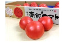 【南会津町特産品】 南郷トマト 1箱(約4kg：20個入) [№5883-0029]