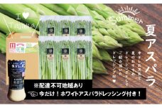 農家直送！南会津町産朝採り夏アスパラと手作りホワイトアスパラドレッシング！ [№5883-0136]