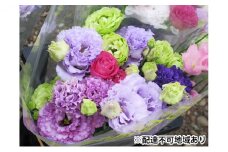 ふるさと納税限定！土っ子田島ファーム直送のトルコギキョウ！ [№5883-0137]