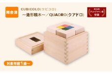 CUBICOLO(クビコロ)～造形積木～／QUADRO(クアドロ)  [№5883-0260]