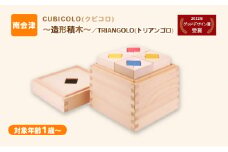 CUBICOLO(クビコロ)～造形積木～／TRIANGOLO(トリアンゴロ)  [№5883-0261]