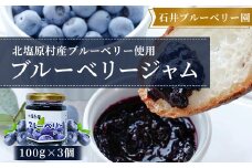 ブルーベリージャム100g×3個セット(石井ブルーベリー園) 【ふるさと納税 人気 おすすめ ランキング ブルーベリージャム 新鮮 フレッシュ 福島県 北塩原村 送料無料】 KBI001