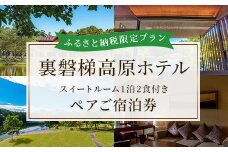 〈ふるさと納税限定プラン〉【裏磐梯高原ホテル】スイートルーム1泊2食付きペアご宿泊券 ふるさと納税 スイートルーム 観光地 観光 旅行 ホテル 旅館 クーポン チケット 宿泊券 旅行券 宿泊 高原リゾート 裏磐梯 湖 福島県 北塩原村 送料無料 KBD001