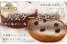 人気ケーキセット「会津山塩がとー塩っこら」＋「ラムレーズンチーズケーキ」【 ふるさと納税 人気 おすすめ ランキング ケーキ セット ガトーショコラ チーズケーキ  ギフト 会津山塩 自家製ラムレーズン 福島県 北塩原村 送料無料 】KBC004