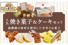 焼菓子詰合せ 【ふるさと納税 人気 おすすめ ランキング 焼菓子 ケーキ サブレ クッキー フロランタン マカロン ガレット お菓子 おやつ 焼き菓子 個包装 詰め合わせ セット ギフト 詰め合わせ ヒロのお菓子屋さん ケーキ スイーツ ご贈答 福島県 北塩原村 送料無料】KBC003
