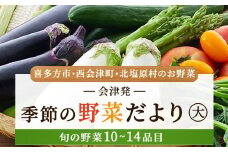 会津発 季節の野菜だより（大）2名様1週間分相当【喜多方市・西会津町・北塩原村のお野菜】 【 ふるさと納税 人気 おすすめ ランキング 季節の野菜 会津 旬 野菜 北塩原村 喜多方市 西会津町 旬の野菜 セット 詰め合わせ 詰合せ 福島県 北塩原村 送料無料 】 KBW002