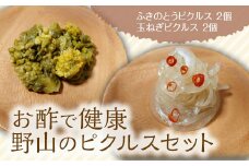《お酢で健康》野山のピクルスセット(ふきのとうピクルス、玉ねぎピクルス 各2個) ピクルス セット 詰合せ 保存料不使用 着色料不使用 ふきのとう たまねぎ おつまみ トッピング 食品 F4D-0142