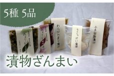 漬物ざんまい (5種5品) 添加物不使用 漬物 詰合せ セット 食べ比べ 添加物なし 野菜 ご飯のお供 お茶漬け おつまみ お茶請け 薬味 小分け 食品 F4D-0116