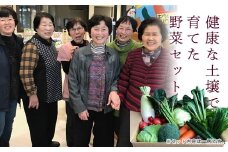 西会津ミネラル野菜セット(大)＜10～12種類程＞ 朝採れ 野菜 セット 詰合せ 契約農家 朝採り 採れたて 新鮮 食品 F4D-1399