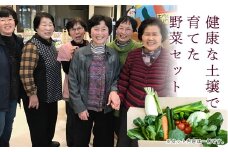 西会津ミネラル野菜セット（小） F4D-1403