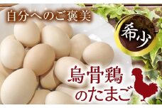 会津の大自然で育った「烏骨鶏」のたまご 12個(6個×2) 卵 烏骨鶏 たまご 生卵 生たまご 希少 卵かけご飯 TKG 目玉焼き だし巻き 玉子焼き オムレツ 食品 F4D-0132