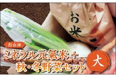 西会津ミネラル元氣米＋秋・冬野菜セット（大） 米 お米 おこめ ご飯 ごはん 福島県 西会津町 F4D-0120