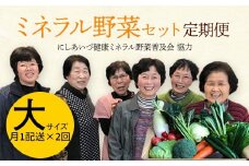 西会津ミネラル野菜セット定期便（大）2回 F4D-1400