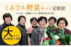 西会津ミネラル野菜セット定期便（大）5回 F4D-1401