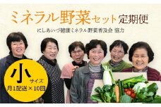 西会津ミネラル野菜セット定期便（小）10回 F4D-1406